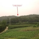 장호원읍-01 이미지