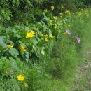 경안천누리길 이미지