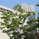 수원SK아트리움 이미지