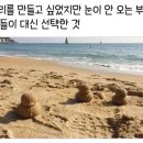 대구의 눈오리와 눈사람 이미지