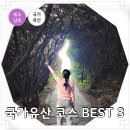 효돈생활체육관 | 제주 여행 코스 남쪽 국가유산 BEST 3 쇠소깍 주상절리 남원큰엉해안경승지