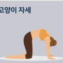 새싹 키즈요가 이미지