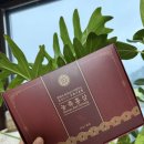 좋은아침한의원 | [대전] 대전한의원 박정호한의원 둔산동한의원 홍삼 한의원추천