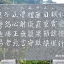 견갑운동의 발산과 수렴 – 정사론의 동작을 중심으로 이미지