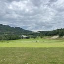 오크밸리 드라이빙레인지 이미지