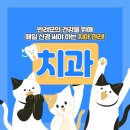 개포동물병원 이미지