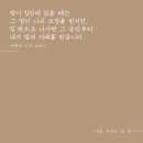 집만두 네이버블로그