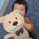 베베호이