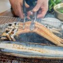 원조민물장어 이미지