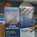 김천삼오정구이 | 김천 장어 맛집 일품풍천장어 모로코장어 내돈내산