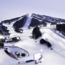 주정차단속-36 이미지