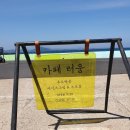 [제주] 갈색 찐땅콩아이스크림이 있는 우도 카페러움