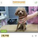 와와 이미지