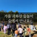 솔빛숲유치원 | 세종시 가을 괴화산 숲놀이 행사 숲에서 만나요 후기