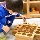 송도몬테소리 마마몽떼 수업 기록