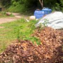 혁이네 농장 이미지