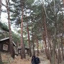 칠보산자연휴양림 이미지