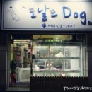 바둑이 애견미용 이미지