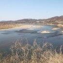 올라번역행정사사무소 이미지