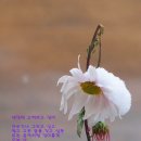 맑고 고운 세상 이미지