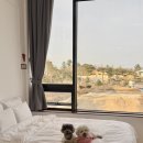 강릉댕댕이애견펜션블루 이미지