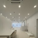 핫도그 반려견 유치원 이미지