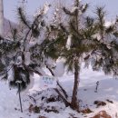 초롱목장 이미지