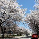 가평시내 자전거길 이미지