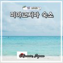 하마카서비스 | 오키나와 여행 미야코지마 숙소 추천 힐튼 오키나와 미야코 리조트 호텔 조식 수영장 위치 후기