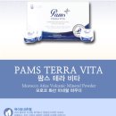 팜스테라 이미지