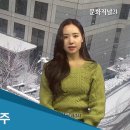 위클리컬처 문화저널21