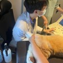 양주 센트럴 동물병원 이미지