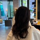 테리미용실 - 천안시 동남구 순천향1길 7 | 양재역 미용실 - 리안헤어 (클리닉 S컬펌 테리 디자이너 솔직 후기)