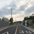 264안길 네이버블로그