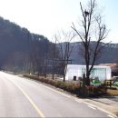 카페239 이미지
