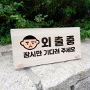 5334 이미지