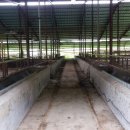 한우축사 이미지