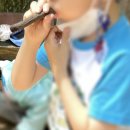 숲 체험 리틀 포레스트 이미지