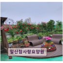 길치과기공소 | 고양시 요양원 추천 일산참사랑요양원 전문 케어와 편리한 위치가 강점이다
