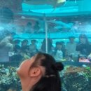 중앙대로260번길 이미지