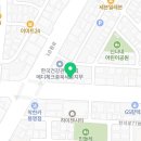 청주고양이카페아이캣유 이미지