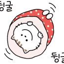 꿈땅어린이집 이미지