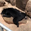 유익농장 이미지