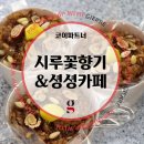 시루꽃향기