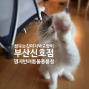 장보는강아지와고양이 신호점 | 명지애견용품할인 매장 장보는 강아지와 고양이 부산 신호점