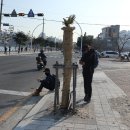 성내삼거리주유소 이미지