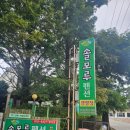 솔모루 | 태안 어은돌 해수욕장 오션뷰를 품은 캠핑장과 펜션이 있는 솔모루 펜션 후기