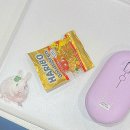 죠스플라잇