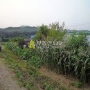전좌로 이미지