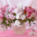 좋은인연 이미지